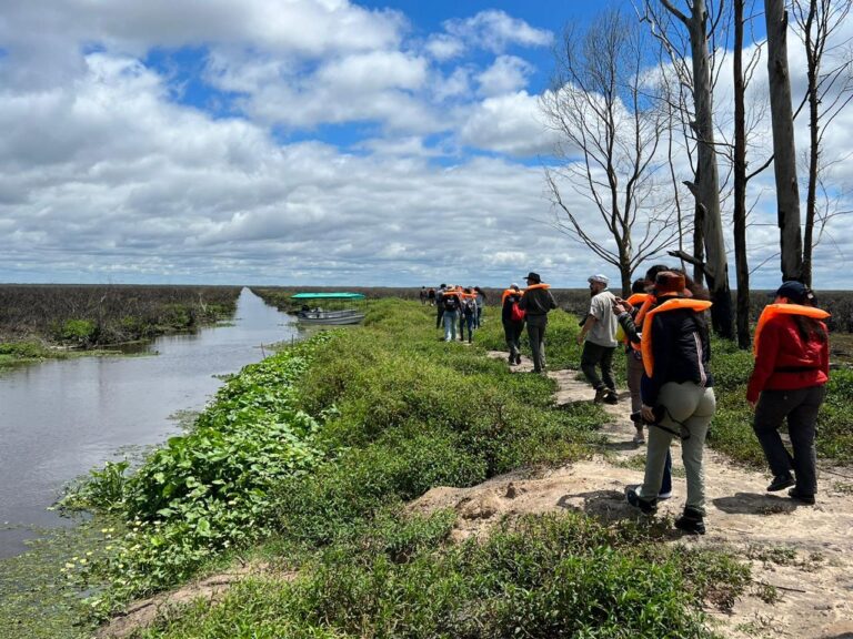 Posadeños rumbo al Iberá: experiencia completa entre carpinchos y esteros