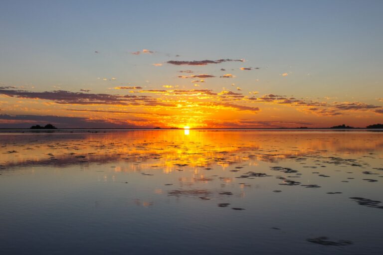 Iberá espera: nueva escapada desde Posadas para mayo