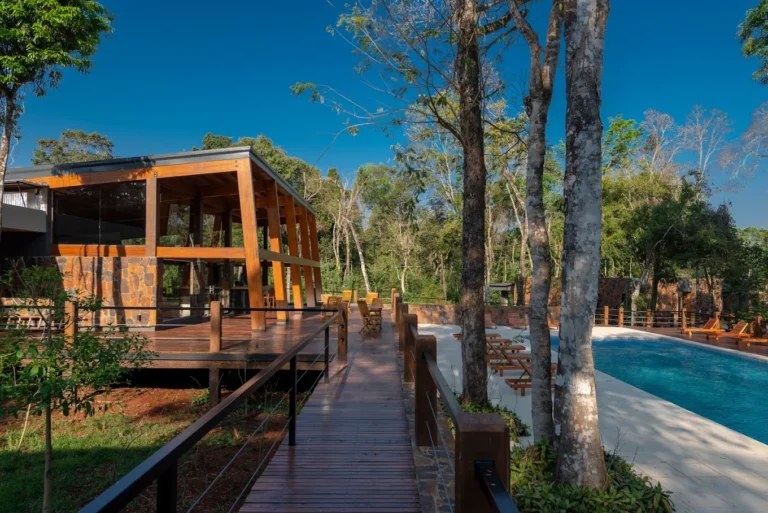 Noche de luna llena en Iguazú: una escapada para sentir la selva