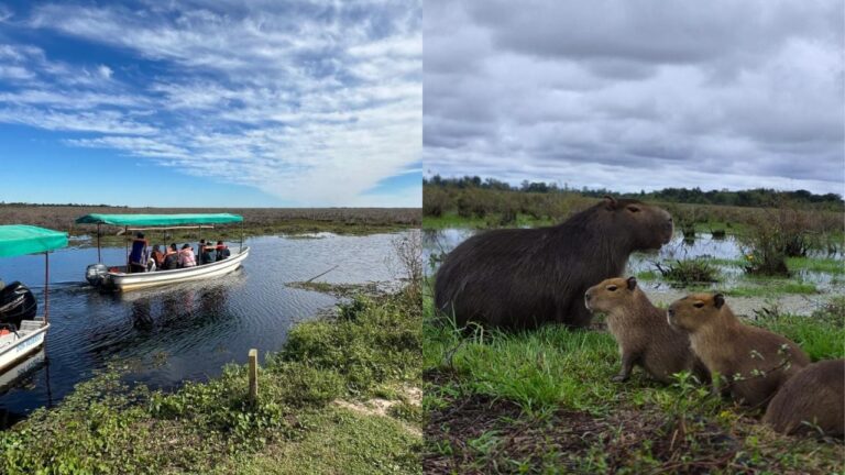 Escapada natural: Iberá llama desde Posadas este sábado