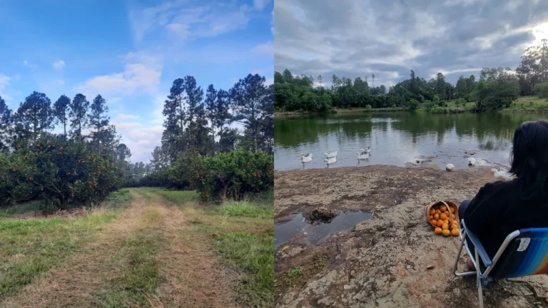 Escapada a la selva: Dos días de naturaleza y chacra con descuento para parejas