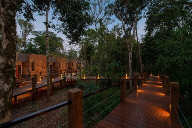 Iguazú bajo la luna: paquetes para una escapada inolvidable